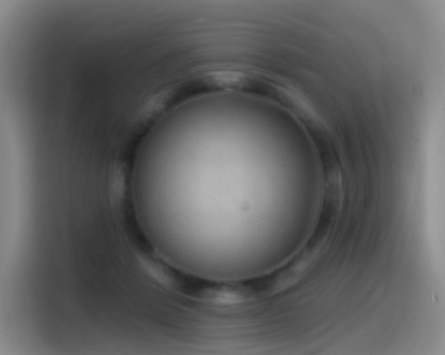 X0000116110412200911231149