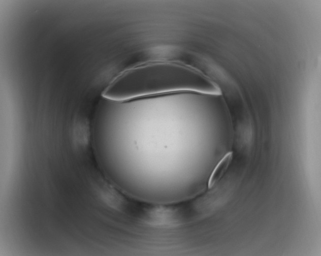 X0000116110413200911231149