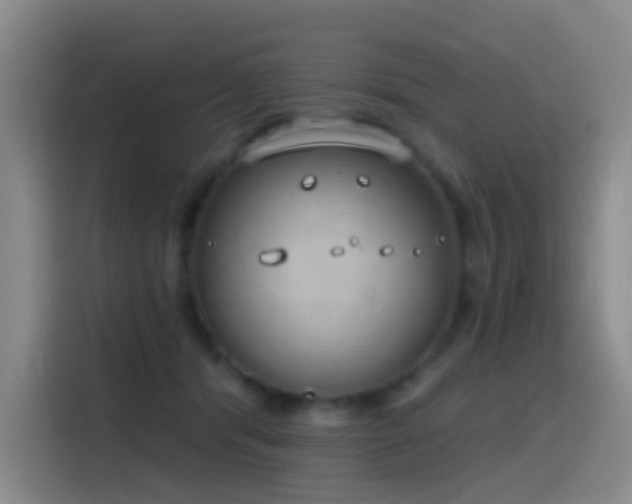 X0000116110416200911231149