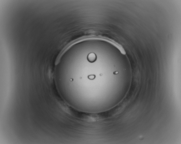 X0000116110420200911231149