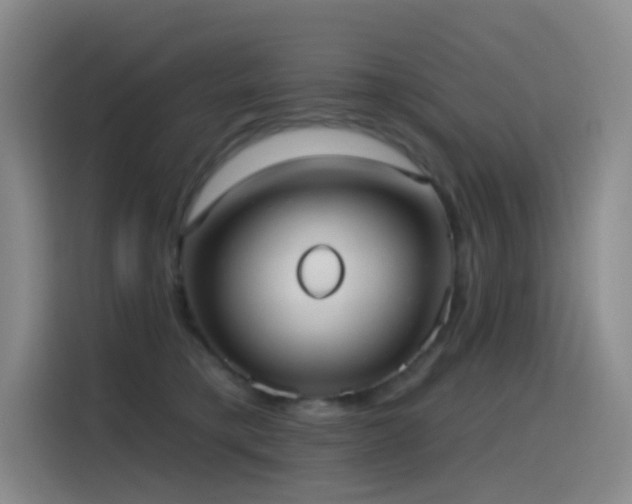 X0000116110421200911231149