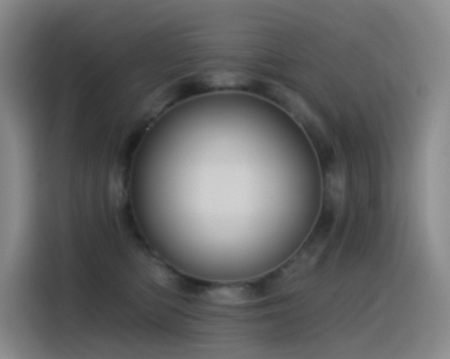 X0000116110422200911231149