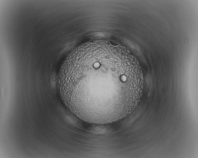 X0000116110423200911231149