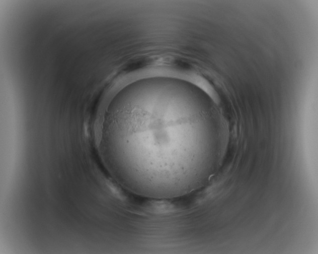 X0000116110424200911231149