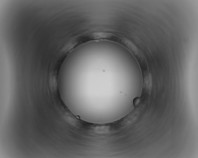 X0000116110426200911231149