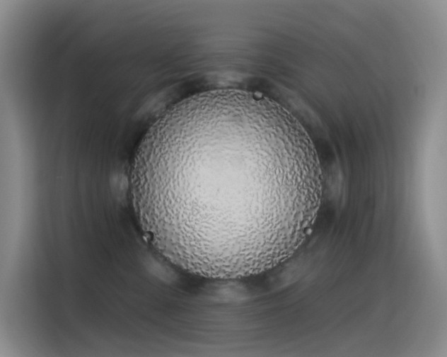 X0000116110427200911231149