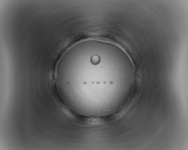 X0000116110428200911231149