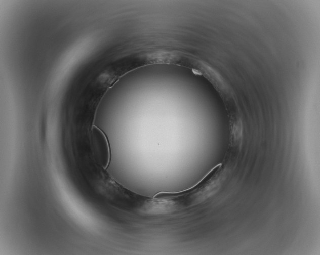 X0000116110429200911231149