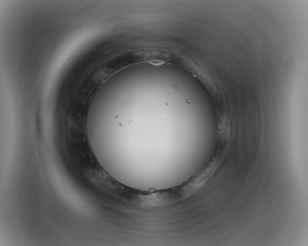 X0000116110430200911231149