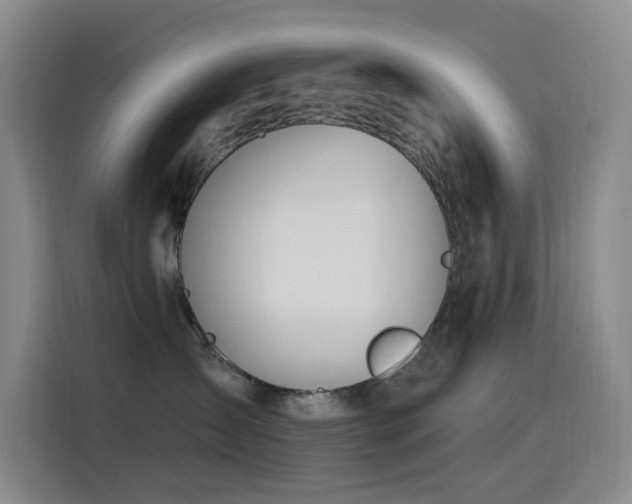 X0000116110431200911231149