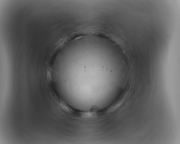 X0000116110432200911231149