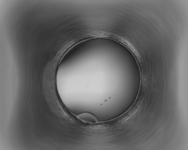 X0000116110433200911231148