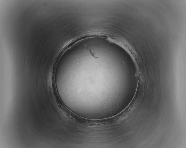 X0000116110434200911231148