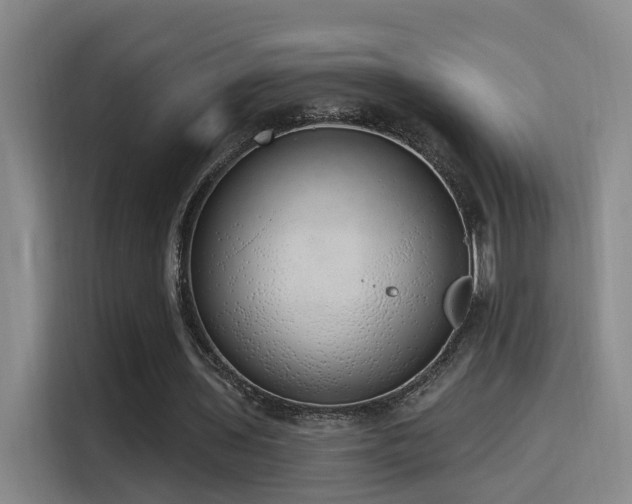 X0000116110435200911231148