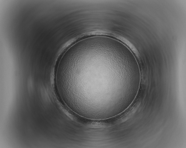 X0000116110437200911231148