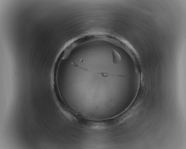 X0000116110438200911231148