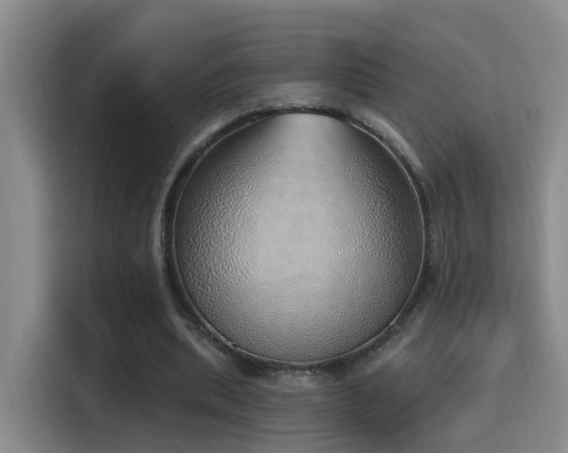 X0000116110439200911231149