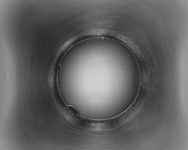 X0000116110440200911231149