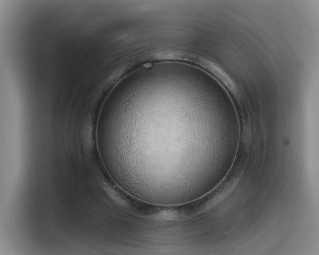 X0000116110441200911231149