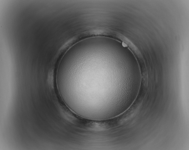 X0000116110442200911231149