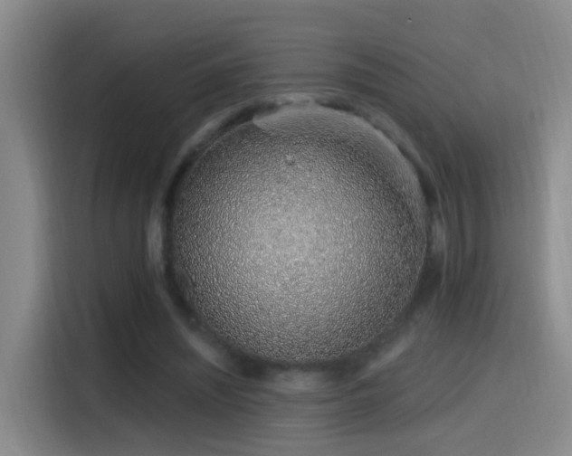 X0000116110444200911231149