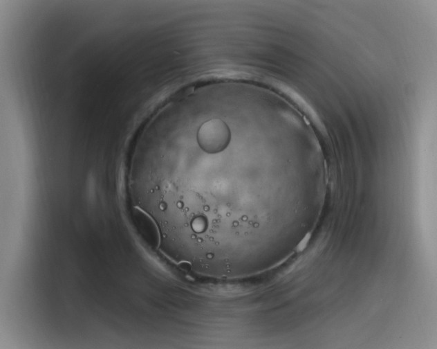 X0000116110445200911231149