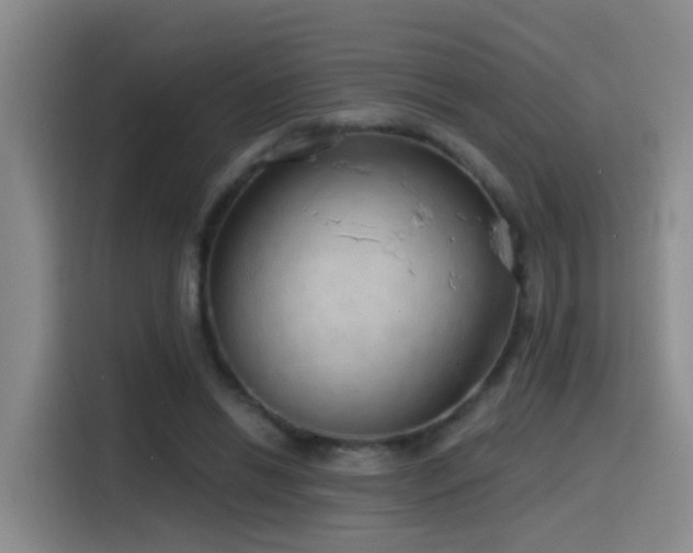 X0000116110446200911231149