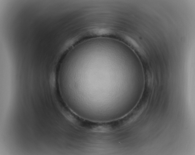 X0000116110447200911231149