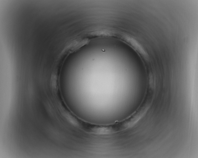 X0000116110449200911231149