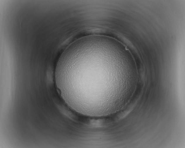 X0000116110450200911231149