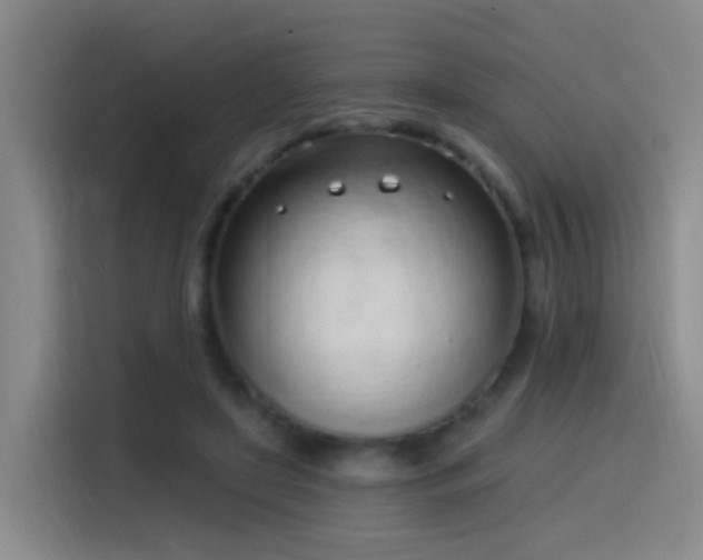 X0000116110451200911231149