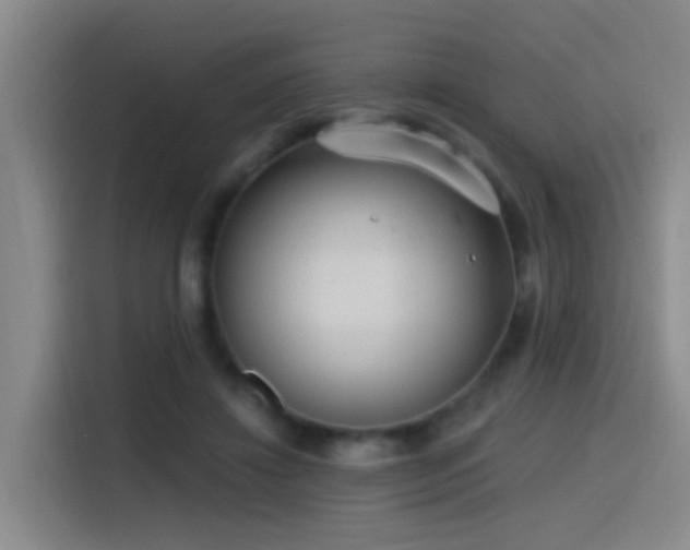 X0000116110452200911231149