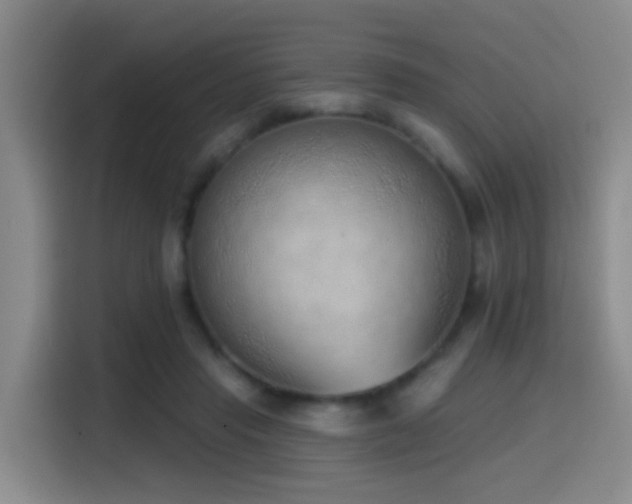 X0000116110453200911231149