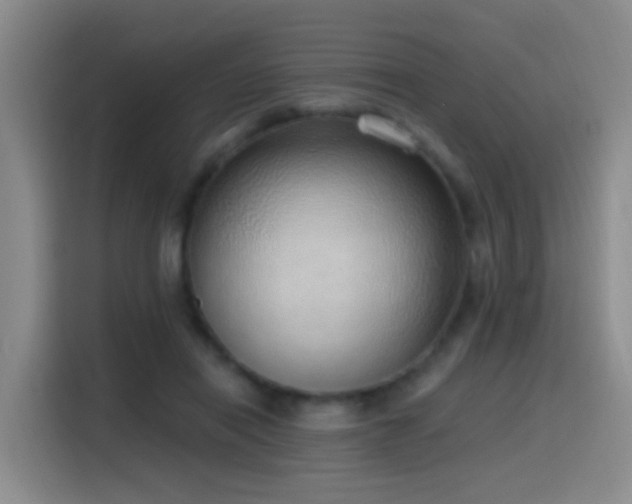 X0000116110454200911231149