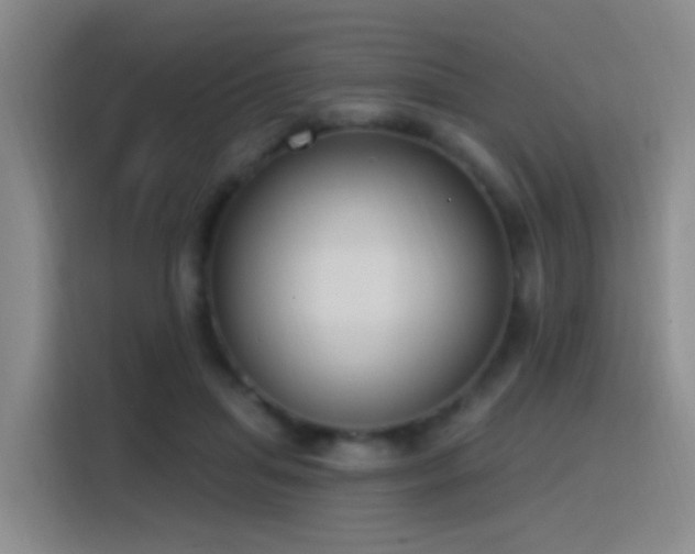 X0000116110455200911231149