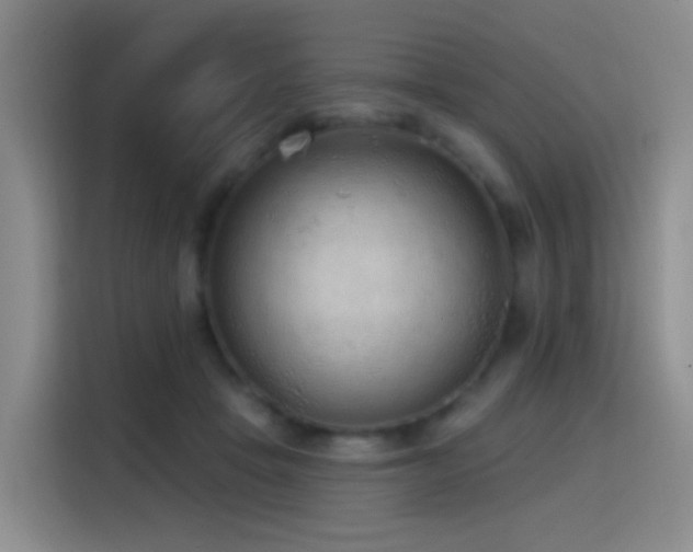 X0000116110457200911231149