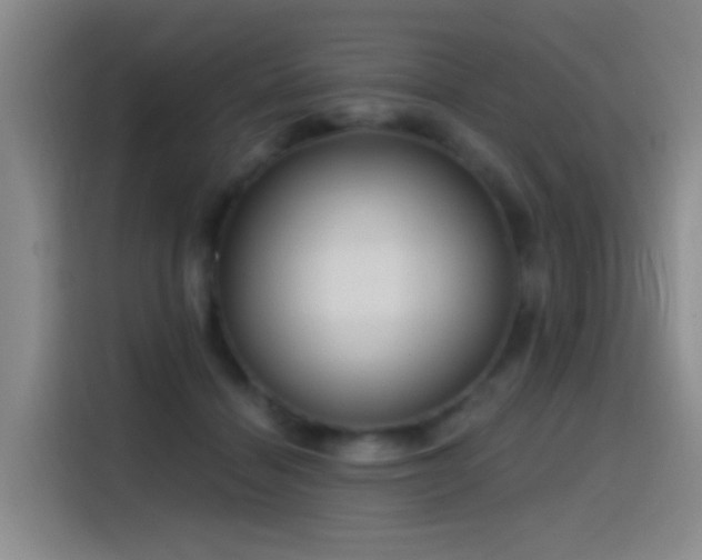 X0000116110460200911231149