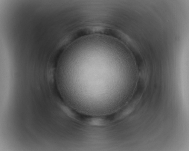 X0000116110462200911231149