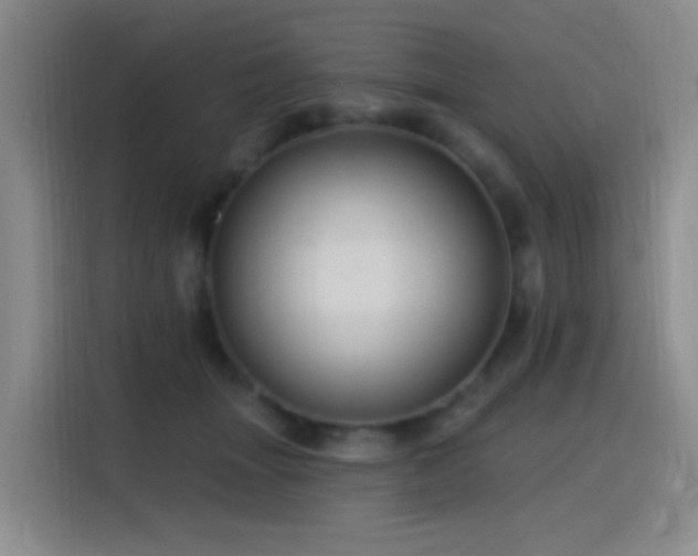 X0000116110463200911231149