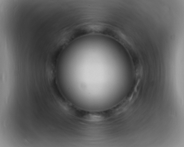 X0000116110464200911231149