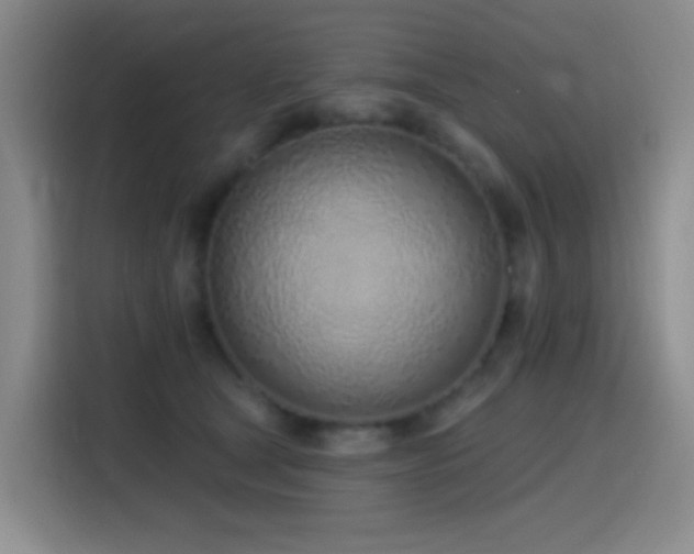 X0000116110465200911231149