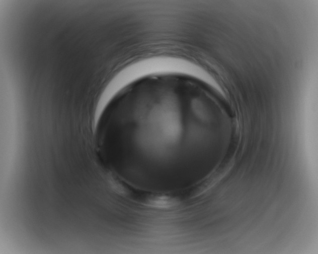 X0000116110467200911231149