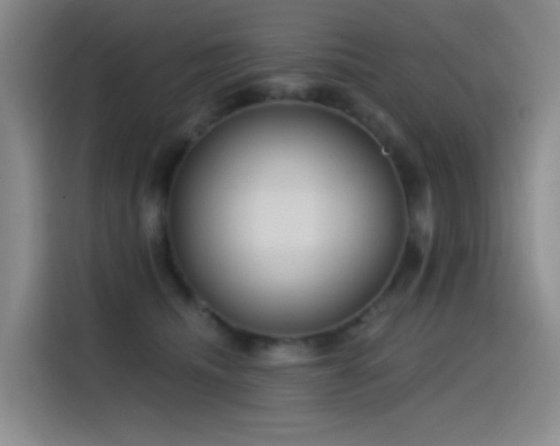 X0000116110468200911231149