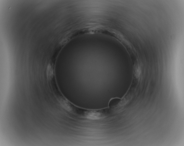 X0000116110471200911231149