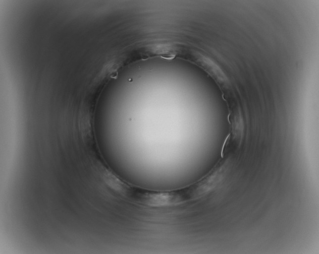 X0000116110473200911231149