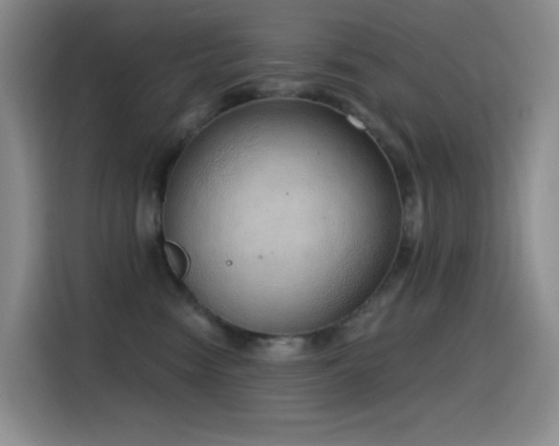 X0000116110474200911231149