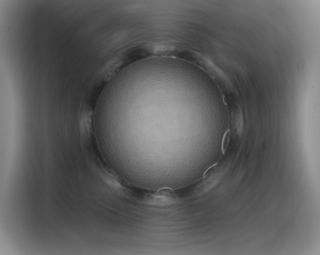 X0000116110475200911231149