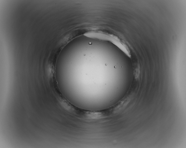 X0000116110476200911231149