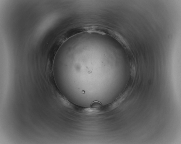 X0000116110477200911231149