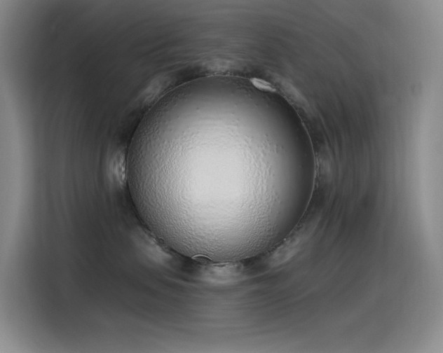 X0000116110479200911231149